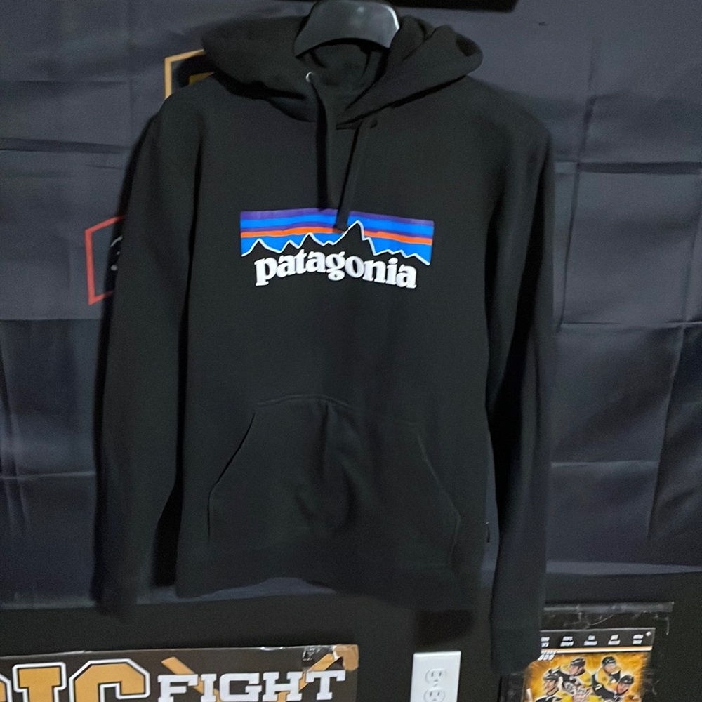 Patagonia hoodie medium